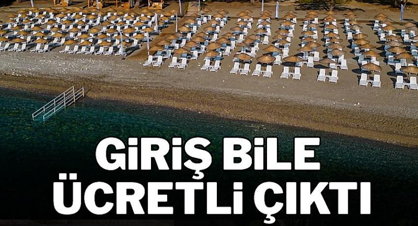 Kategori Haberleri