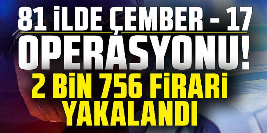81 ilde 