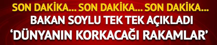 Soylu 'Bu rakamlar dünyanın korkacağı rakamlardır' dedi, tek tek açıkladı