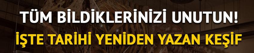 Kanada'da dünyanın en büyük ve en yaşlı T-rex fosili bulundu