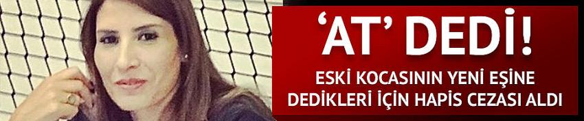 Eski kocasının yeni eşine 'at' dedi, hapis cezası aldı
