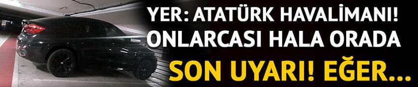 Terk edilen lüks araçlar sahiplerini bekliyor