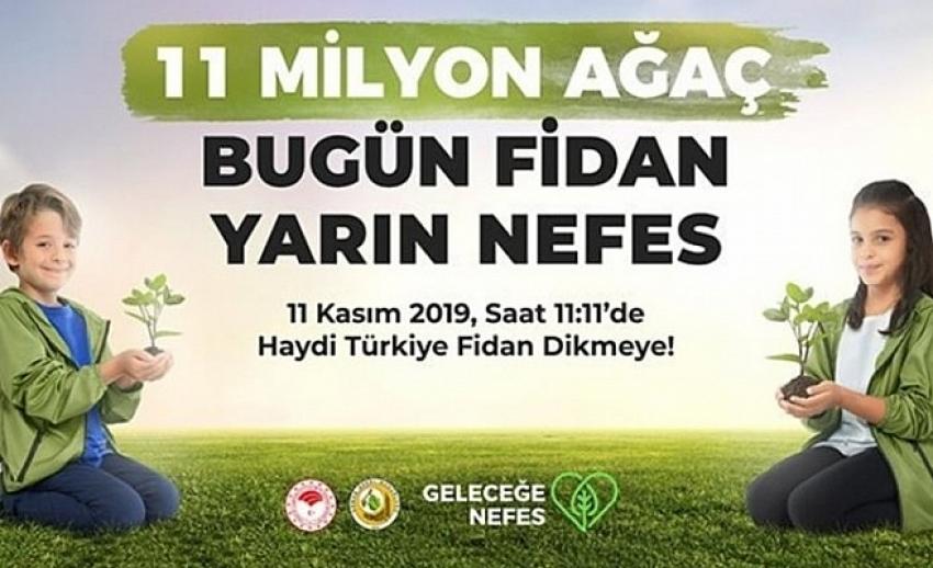 Türkiye dünya rekoruna koşuyor!