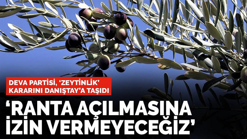 DEVA Partisi, 'zeytinlik' kararını Danıştay'a taşıdı