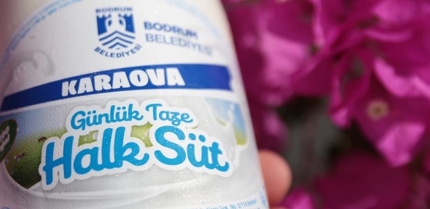 HALK SÜT YENİDEN EVLERDE