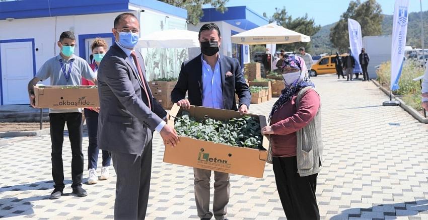 BODRUM BELEDİYESİ 154 BİN YAZLIK FİDEYİ ÜRETİCİLERE HİBE ETTİ