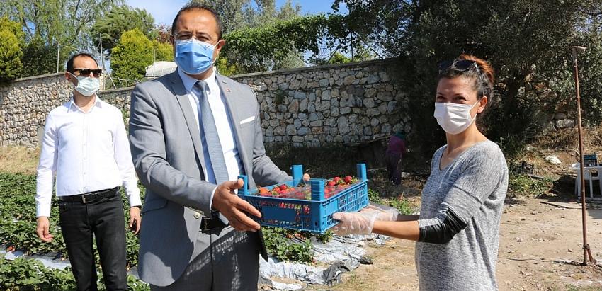 Belediye. üreticinin yanında 
