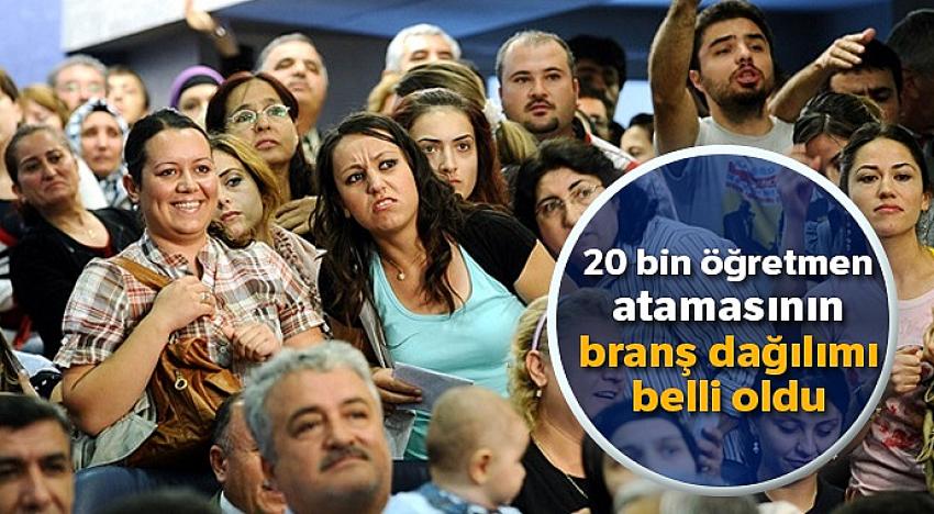 20 bin öğretmen atamasının branş dağılımı belli oldu