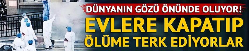 Kategori Haberleri