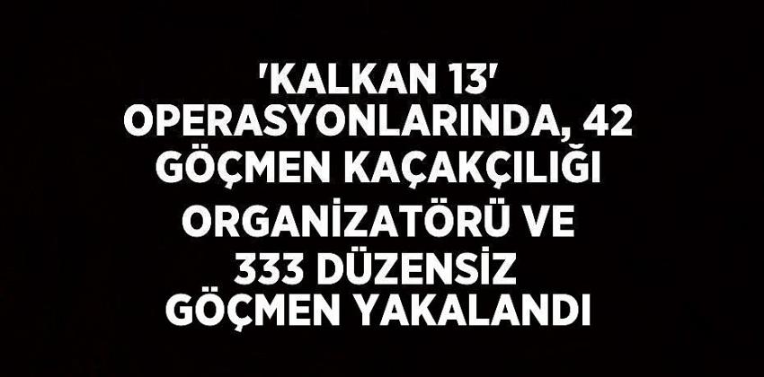 42 göçmen kaçakçılığı organizatörü ve 333 düzensiz göçmen yakalandı