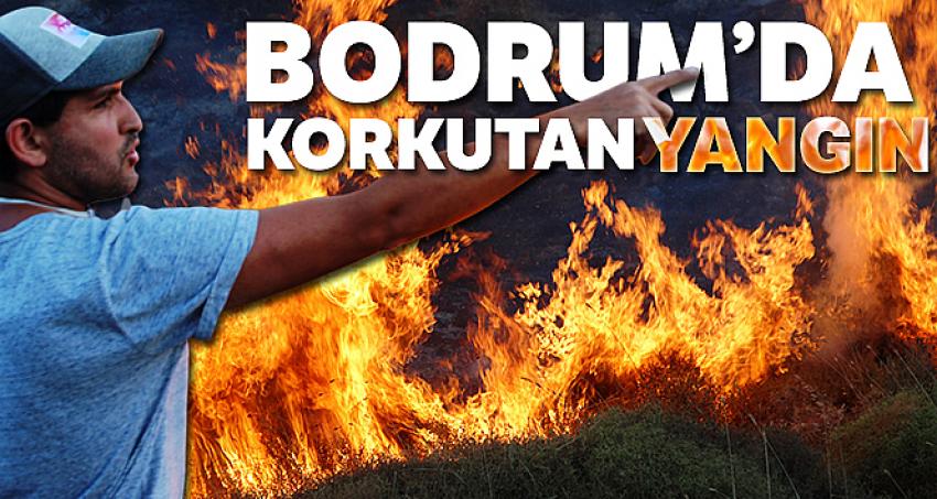 Alevler tatil sitelerine yaklaştı; tatilciler taşlarla yangını söndürmeye çalıştı