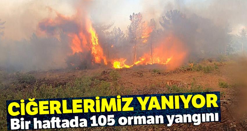 Bir haftada 105 orman yangını 