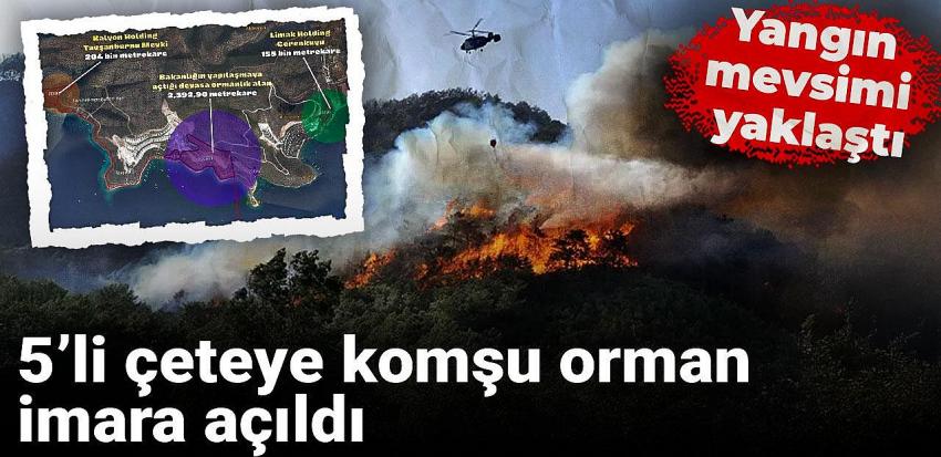 Kategori Haberleri