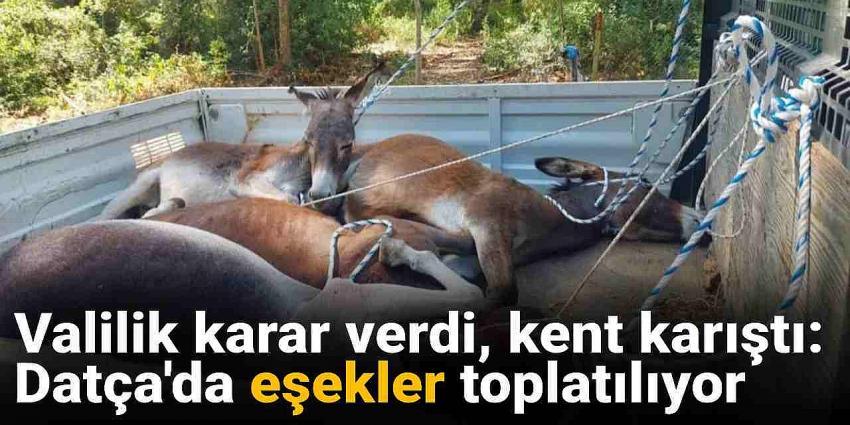 Valilik karar verdi, kent karıştı: Datça