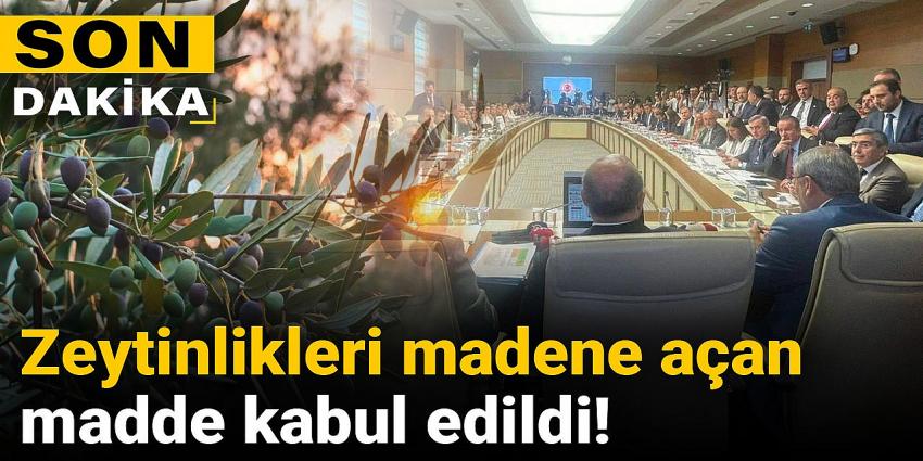 Zeytinlikleri madene açan madde kabul edildi