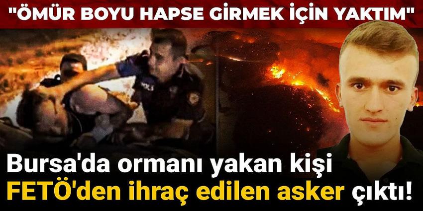 Bursa