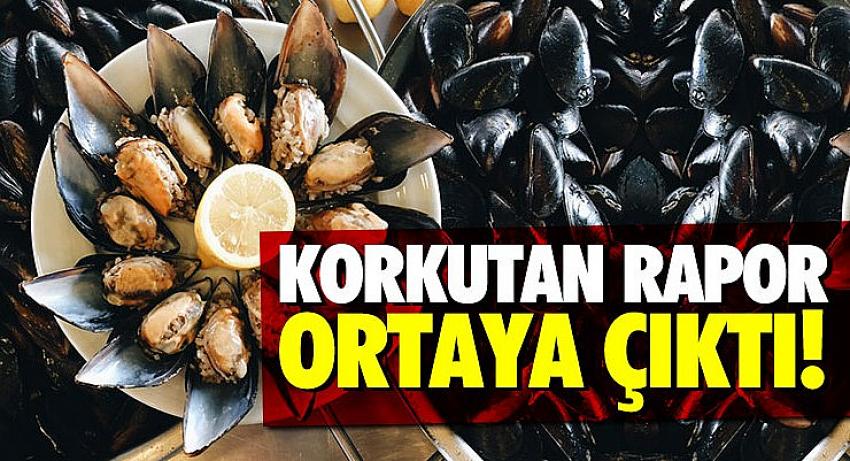 Midyeyle ilgili korkutan rapor ortaya çıktı! 