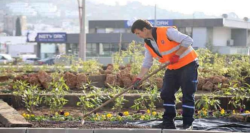 Bodrum'da peyzaj çalışmaları devam ediyor