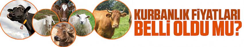 Kurbanlık fiyatları belli oldu mu?