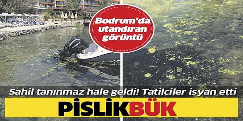 Küçükbük Koyu pislik içinde kaldı!.