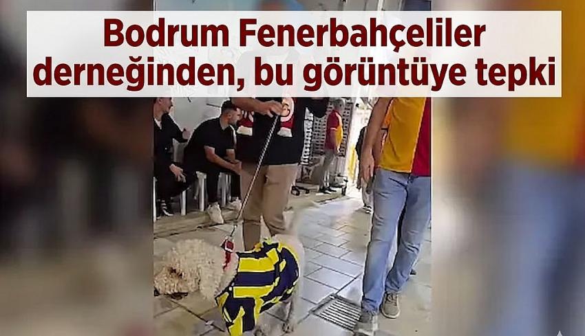 Bodrum Fenerbahçeliler derneğinden, bu görüntüye tepki