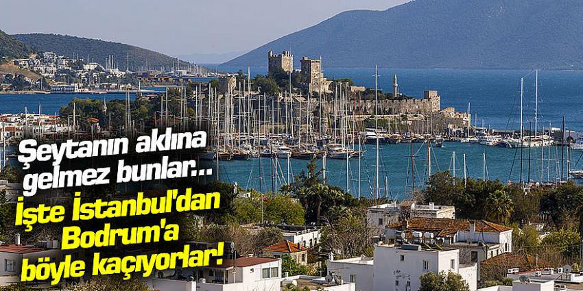 İşte İstanbul'dan Bodrum'a böyle kaçıyorlar! Kaynak: Şeytanın aklına gelmez bunlar... 