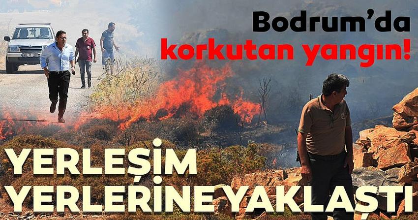 Bodrum'da makilik alanda yangın
