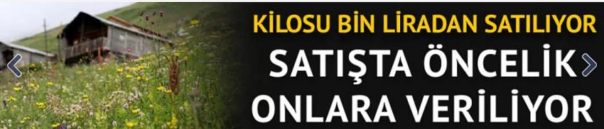 Kilosu bin liradan satılıyor!