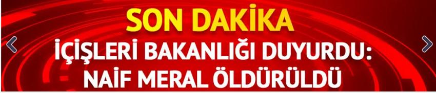 Başına 600 bin TL ödül koyulan terörist Şeyhömer etkisiz hale getirildi