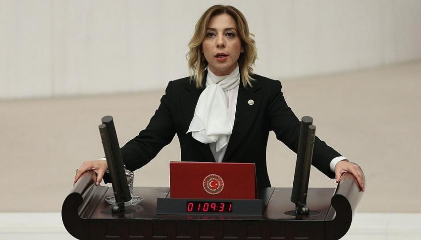 Milletvekili Gökcan: 