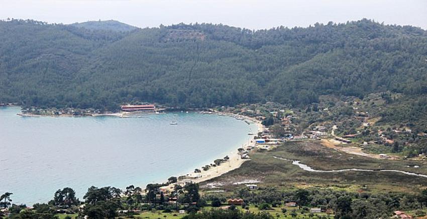 Akbük’teki ağaç kesimi şüphelileri adli makamlara sevk edilecek