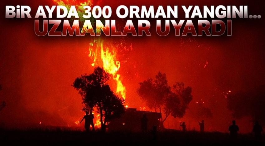Bir ayda 300 orman yangını çıktı...