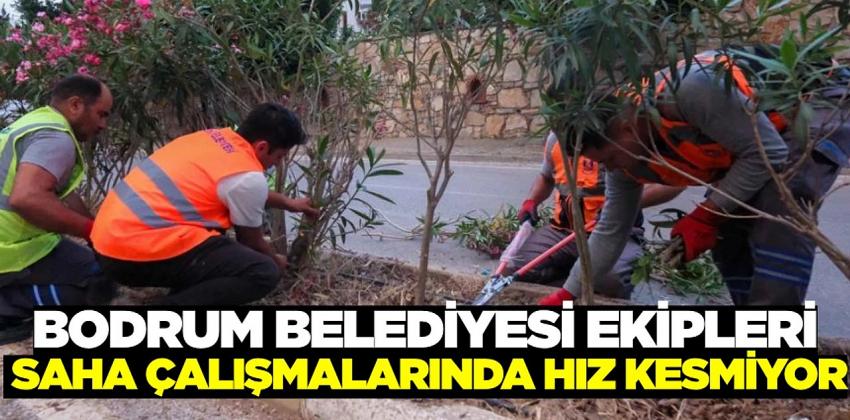 Bodrum Belediyesi, kurban bayramı hazırlıklarına devam ediyor!