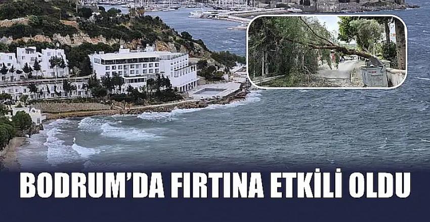 Kategori Haberleri