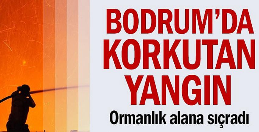 Bodrum’da korkutan yangın