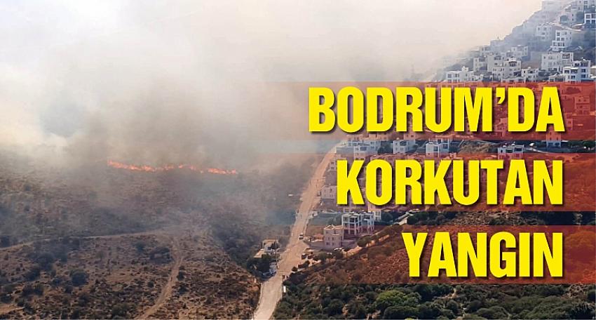 Bodrum'da korkutan yangın