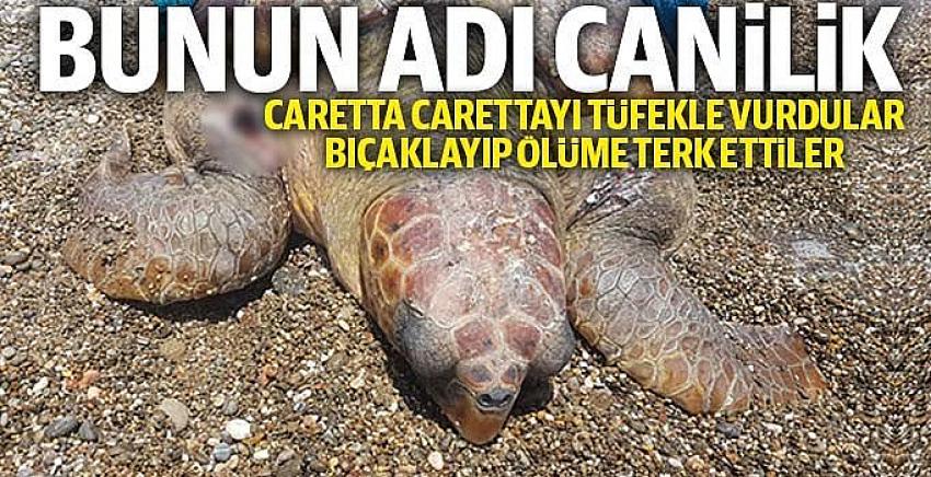 Bunun adı canilik!