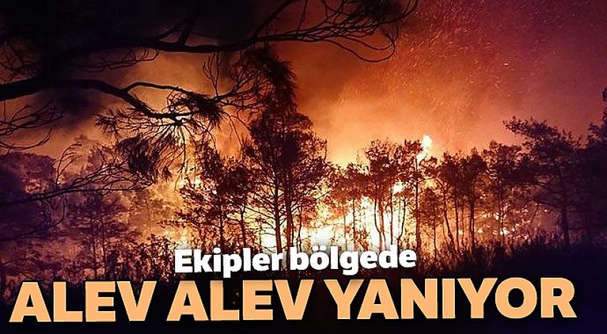 Ekipler bölgede! Alev alev yanıyor