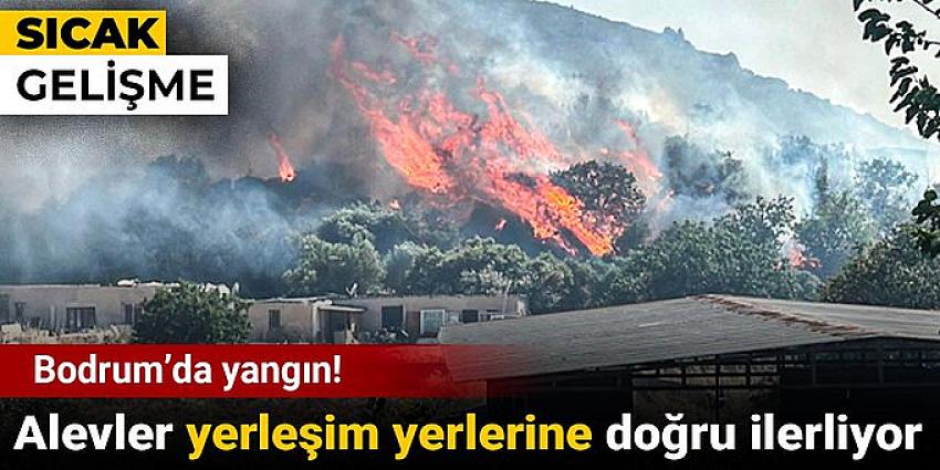 Bodrum Ortakent Yahşi’de yangın: Alevler yerleşim yerlerine yaklaştı
