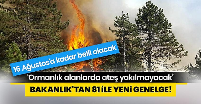 81 il valiliğine 'Ormanlık alanlarda ateş yakılmaması' genelgesi