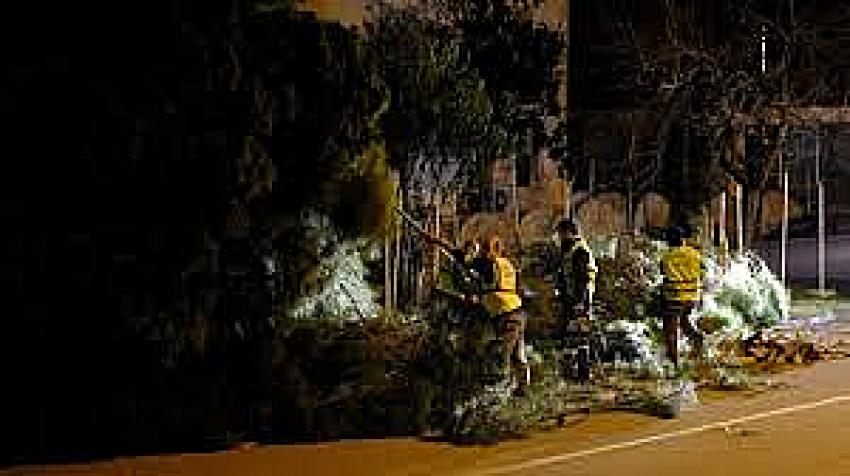 Park ve Bahçeler Ekipleri Fırtınada Sahadaydı