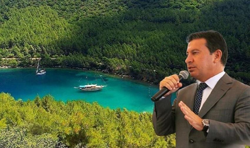 Başkan Aras’tan ‘ruhsat’ yanıtı