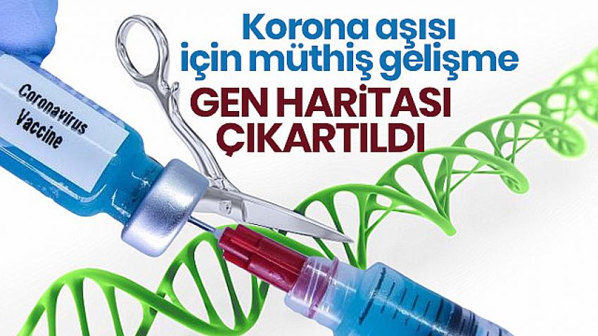 Koronavirüs aşısı için önemli adım!