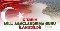11 Kasım 