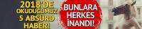 Herkes bunlara inandı! 2018’den 5 absürd haber