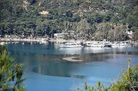 Marmaris'te korkutan görüntü!