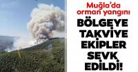 Muğla'da orman yangını! 