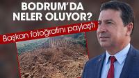 Bodrum’da neler oluyor?
