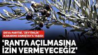 DEVA Partisi, 'zeytinlik' kararını Danıştay'a taşıdı