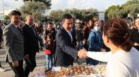 ÖĞRENCİLERDEN ZEYTİN HASADI